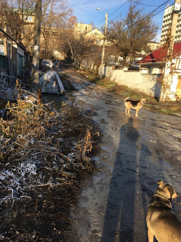 В ялте прорвало трубу