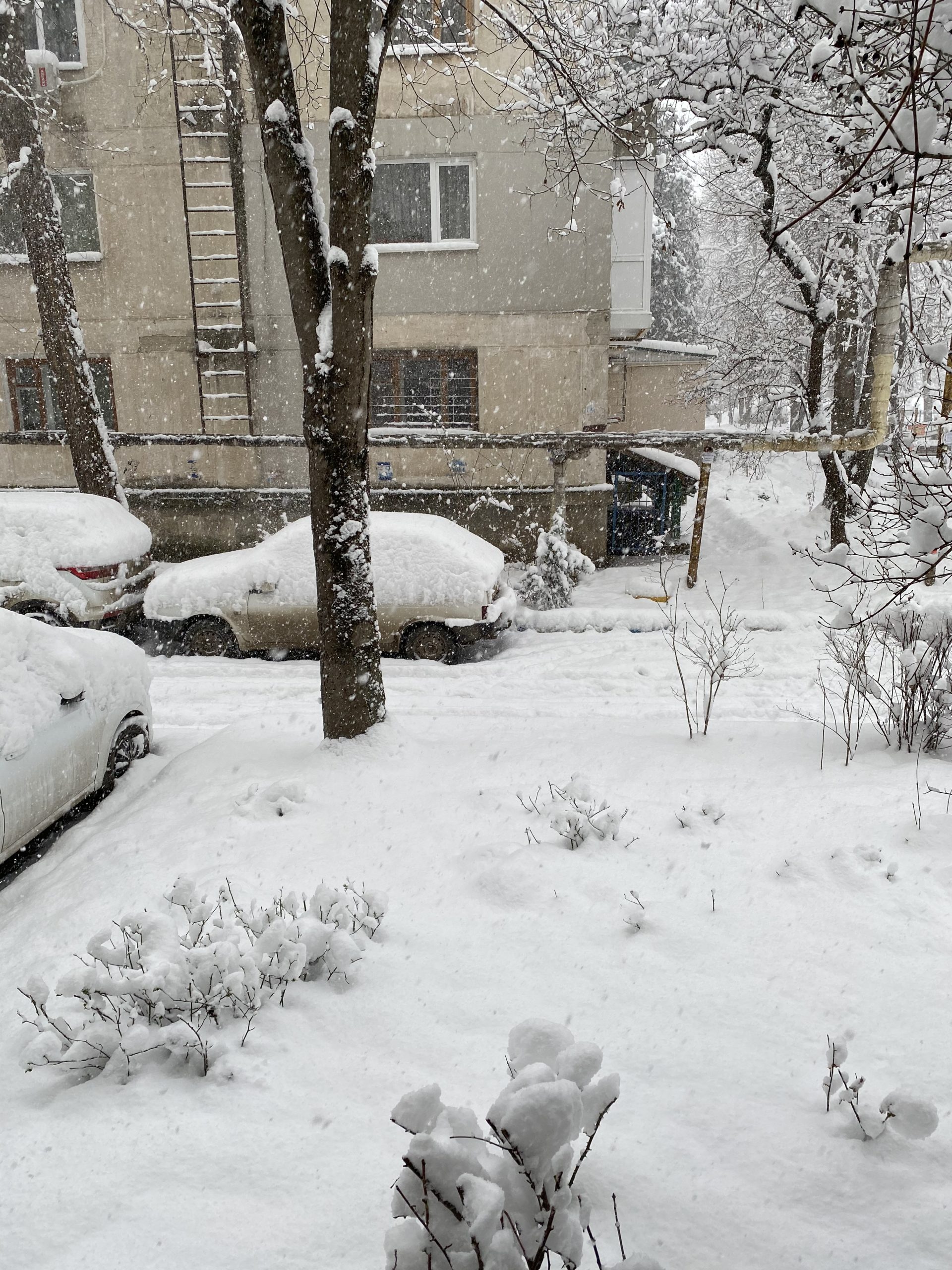 Симферополь замело снегом