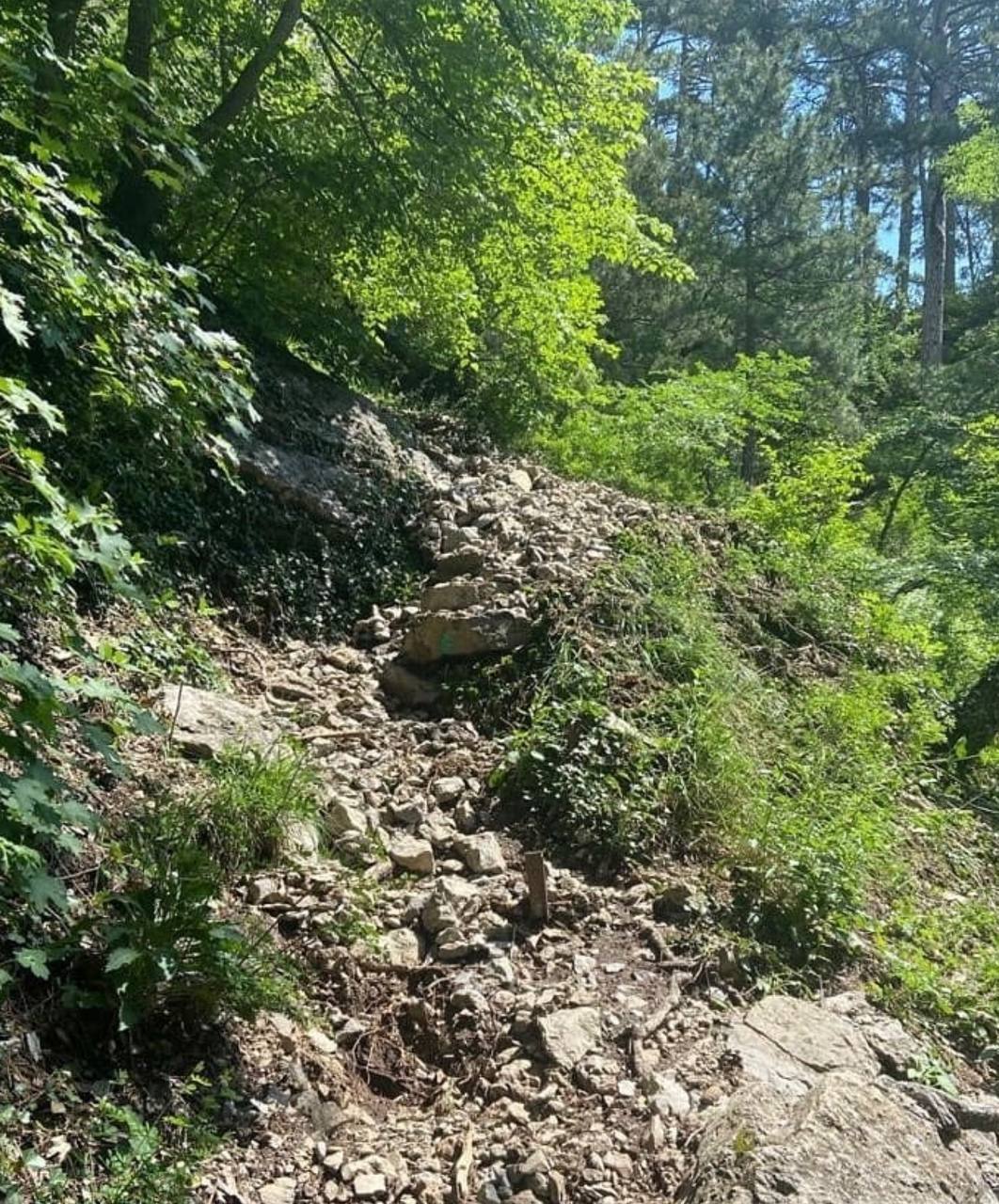 Штангеевская тропа ялтинского заповедника