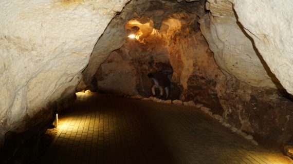 Пещера Таврида в Крыму: Чем сможет удивить туристов
