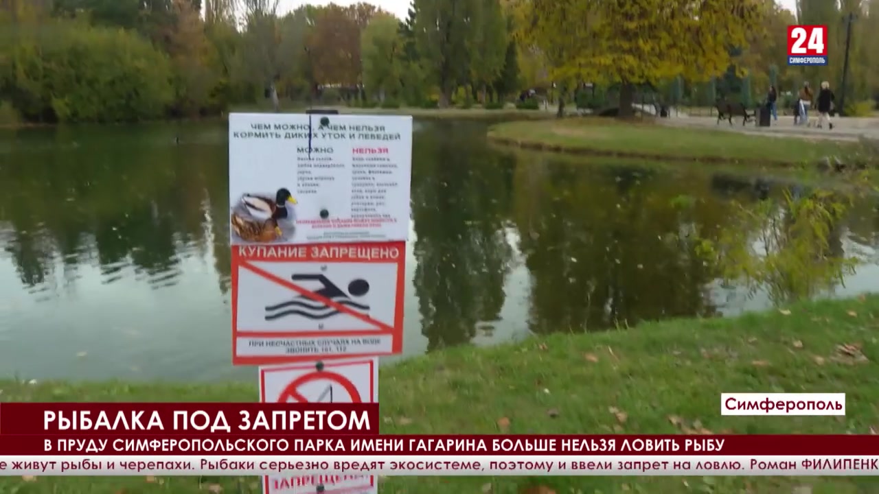 Запрет вылова великобритании. Парк Крыма с рыбой. Очистка водоемов в Гагаринском парке Симферополя. Парковый пруд закрыт. Нельзя ловить рыбу.