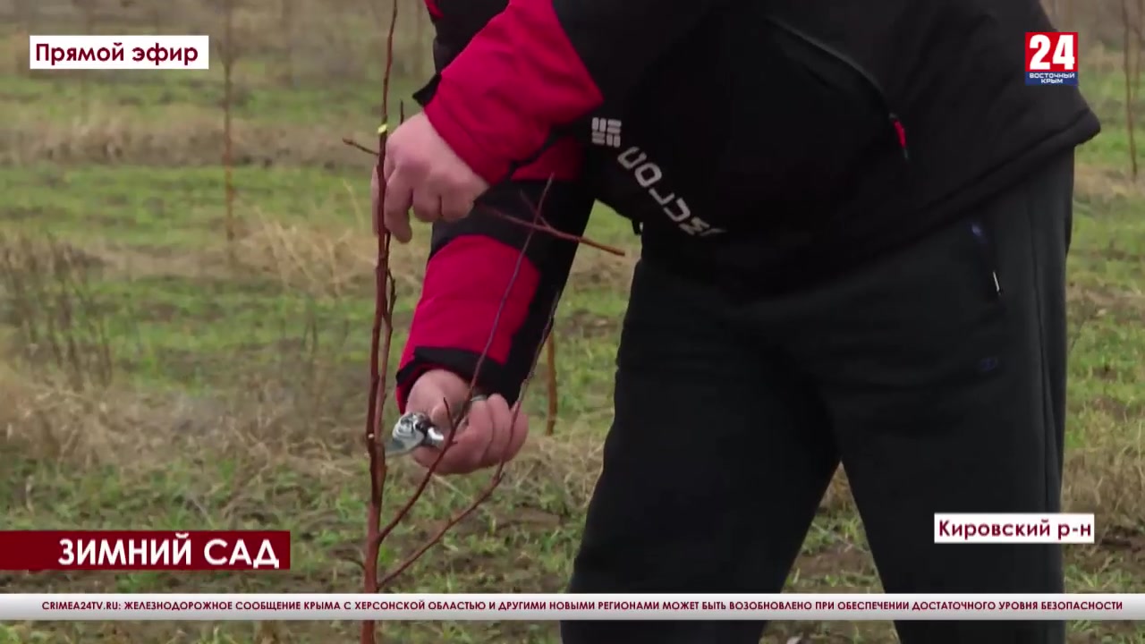 Фото Садоводов Кировской Области
