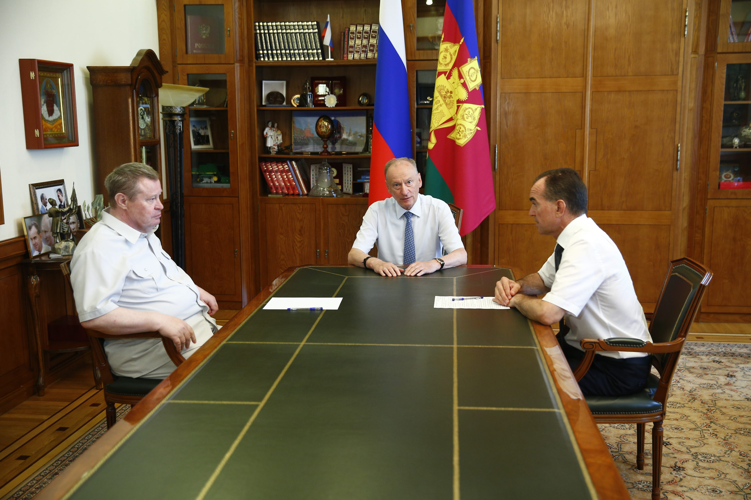 Платонович совет безопасности