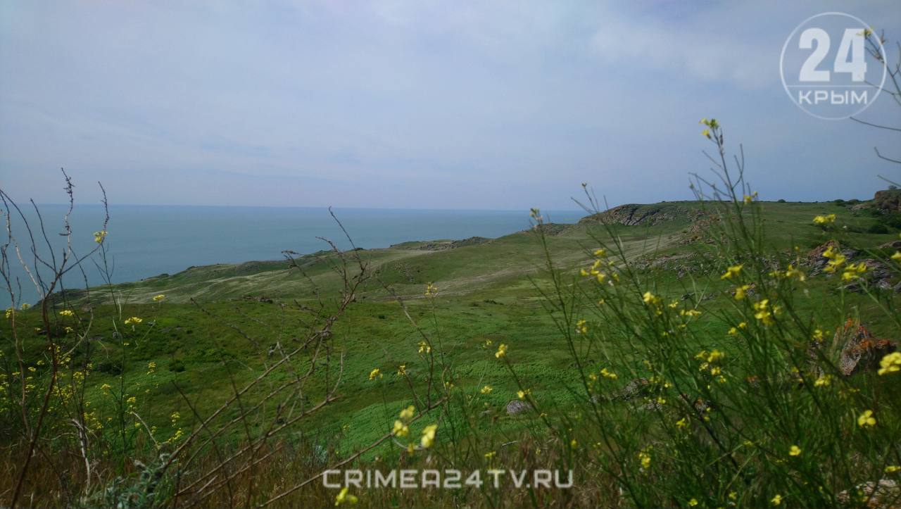 Опукский заповедник Крым пляж