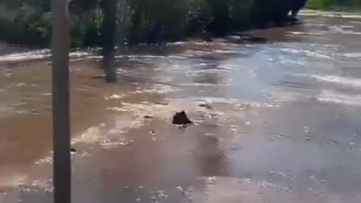 В Евпатории дорога превратилась в реку из-за порыва водовода