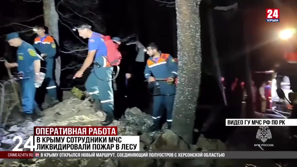 В Крыму сотрудники МЧС ликвидировали пожар в лесу