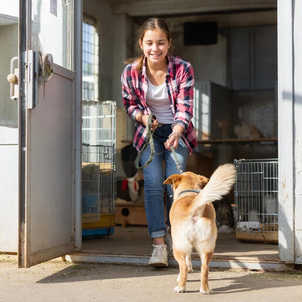 Крымчане всё чаще берут животных из приютов